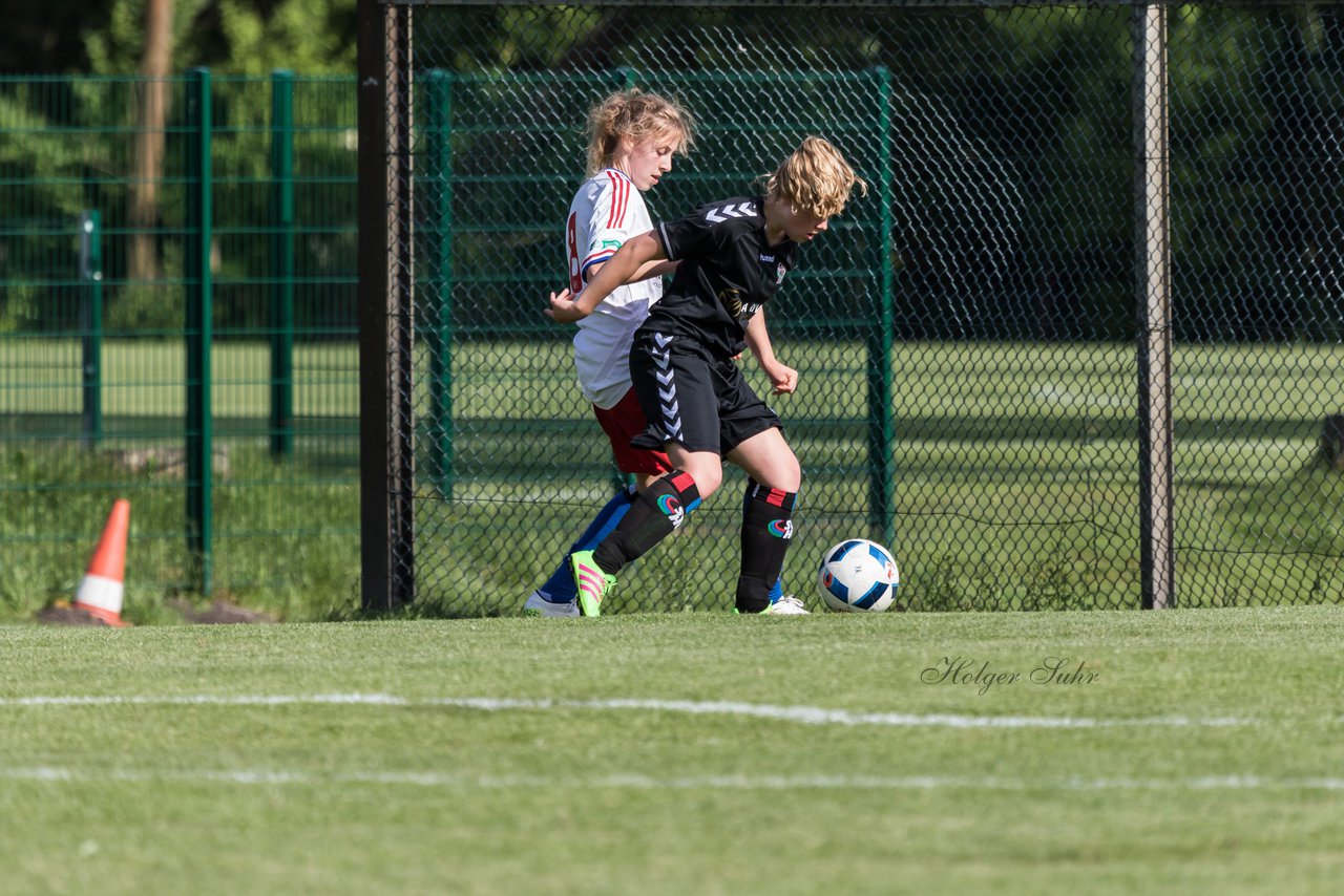 Bild 198 - wBJ Hamburger SV : SV Henstedt Ulzburg : Ergebnis: 4:2